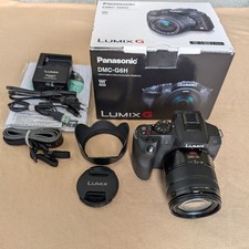 Panasonic Lumix DMC-G6 +
