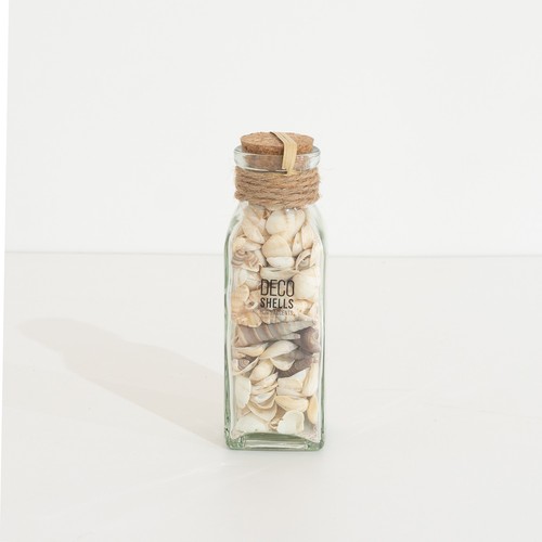 Deco shells home - shells, accent