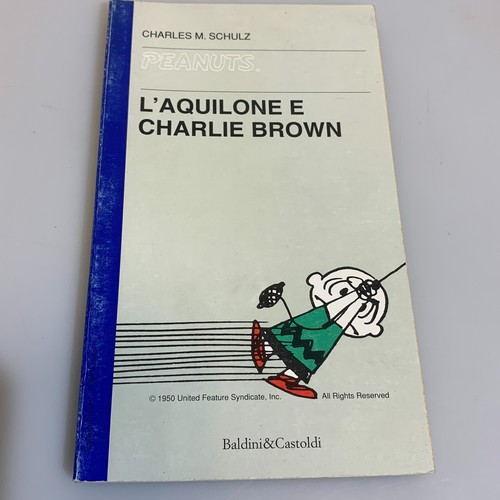 Aquilone charlie brown di - l'aquilone, e