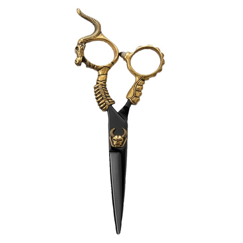 Forbici taglio capelli - , drago