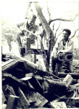 1958 COLLA MICHELI (SV) Thor HEYERDAHL del KON-TIKI durante la pausa invernale