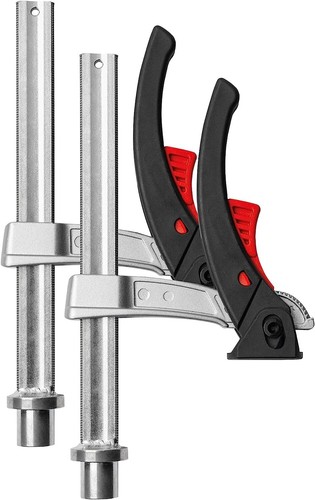 Bessey elemento di - 2,