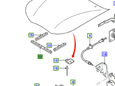 1023924 GUARNIZIONE COFANO