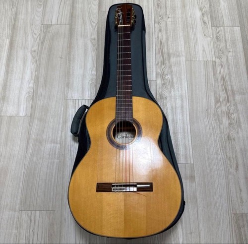Chitarra flamenco cordoba - chitarra,