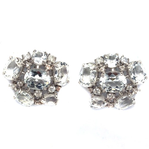 Orecchini argento sterling - in,