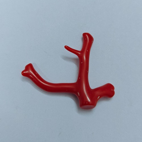 Ramo corallo rosso italiano - di,