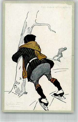 13666936 firmato codognato - -,