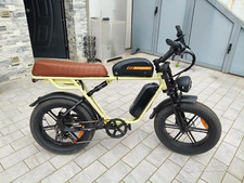 Engwe M1 Dual Battery Bicicletta elettrica