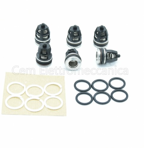 Kit valvole o ring - 6, +