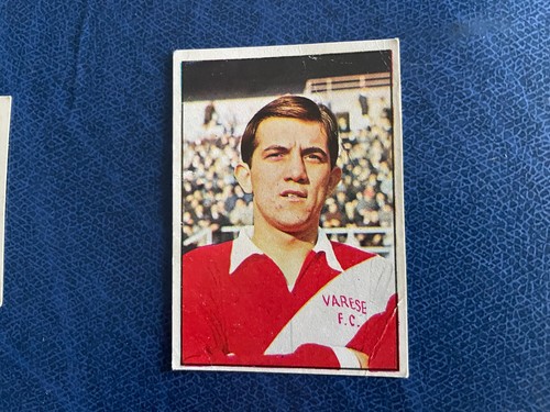 Panini calciatori 1965 - panini, 1965/66
