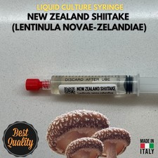 Shiitake della Nuova Zelanda