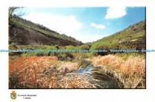 D039952 Torrente Loddiero