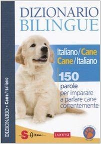 Dizionario bilingue