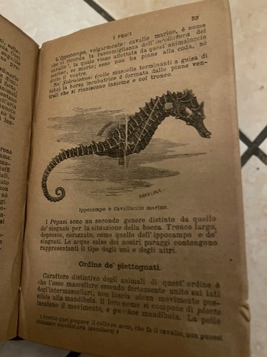 Raccolta sonzogno illustrata - raccolta,