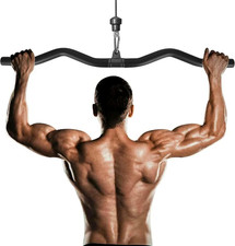 Barra per Bicipiti, Barra per