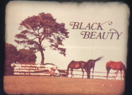 Black beauty - “black, beauty”