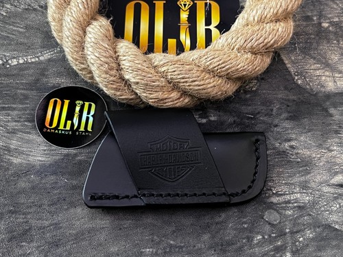 Custodia harley davidson - custodia,