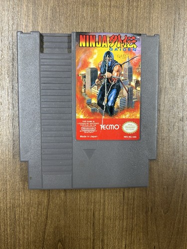 Ninja gaiden nes - ninja,