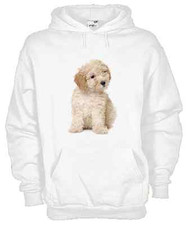 Felpa Fun KJ335 Maltese pelo