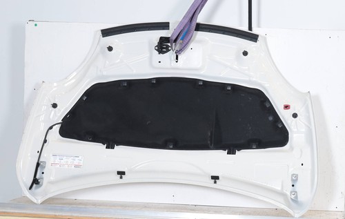 Cofano anteriore 52205376 fiat - anteriore,