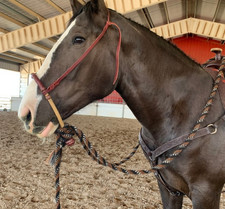 40 Plait Braided Bosal