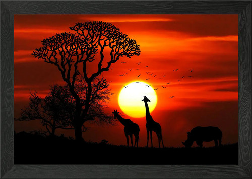 Kifaru rhino twiga poster - rhino, arte