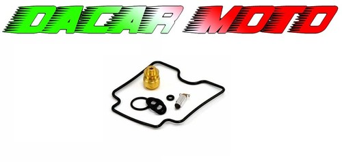Kit revisione carburatore - revisione,