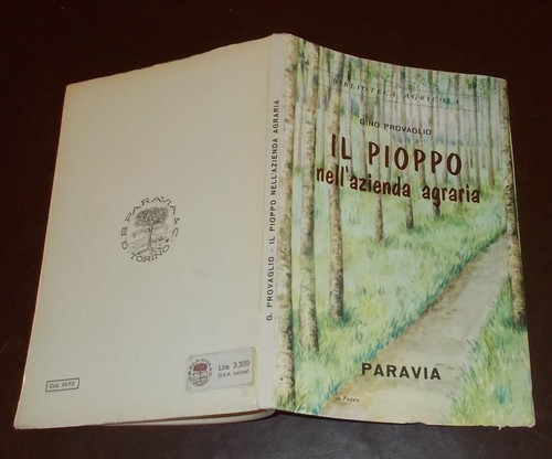 Gino provaglio pioppo - gino,