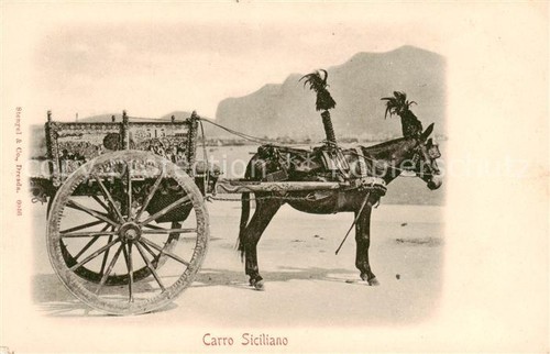 Sicilia carro siciliano - carro,