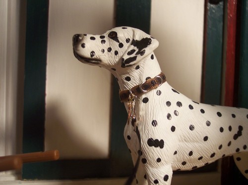 Collare per cani jaapi grande - collare,