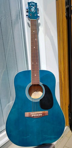 Eko ranger custom - custom, teal
