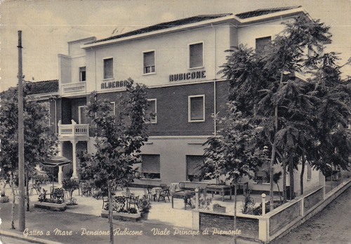 C18723 gatteo mare - a,