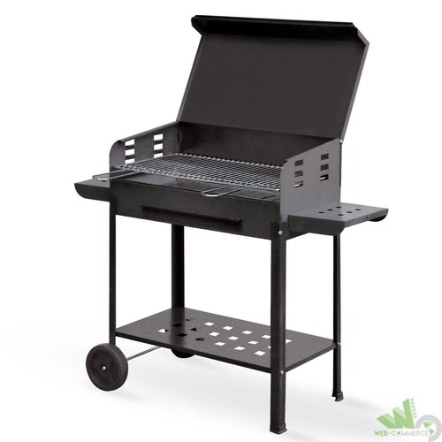 Barbecue barbeque carbone - barbeque,