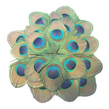 MWOOT 30 Pezzi Piume di Pavone