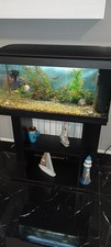 Acquario completo di mobiletto filtro e riscaldatore