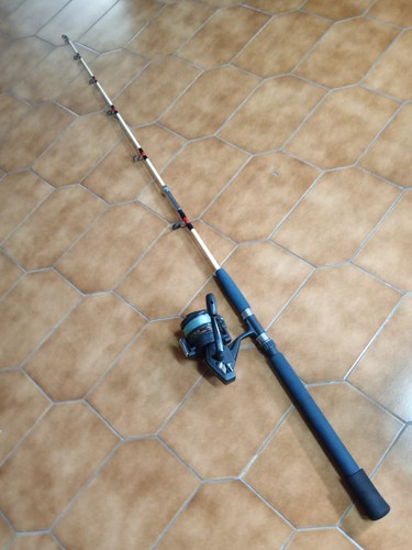Canna pesca con - canna,