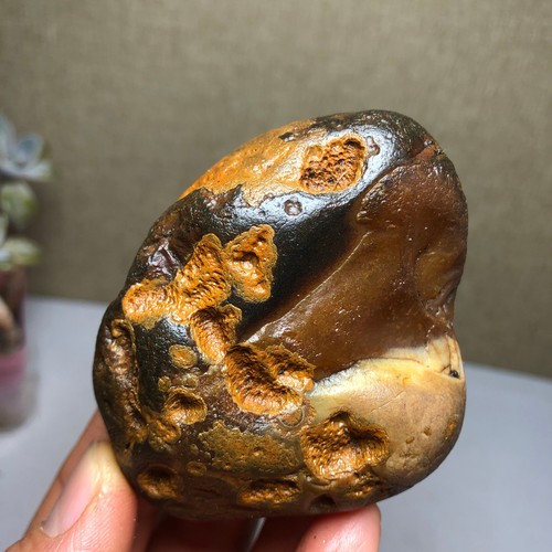 Bonsai naturale 180g suiseki - naturale,