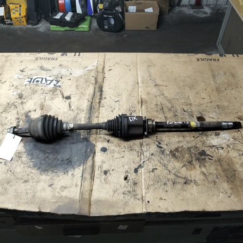 51975576 semialbero ant - 51975576,