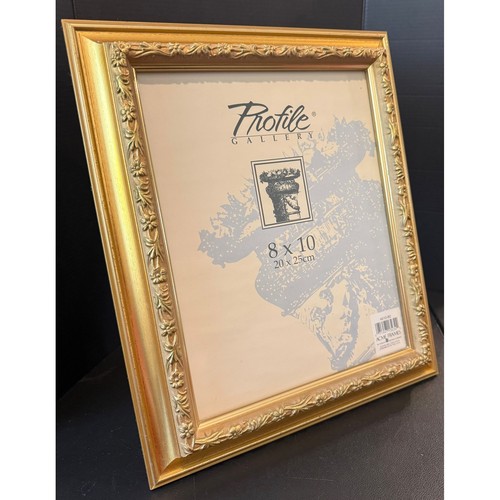 Profilo galleria 8x10 cornice - galleria,