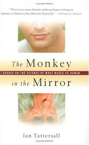 The monkey - monkey,