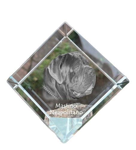 Mastino napoletano collana con - mastino,