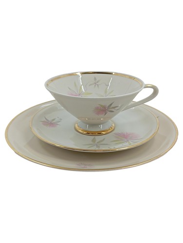Hutschenreuther tazza piattino - tazza,