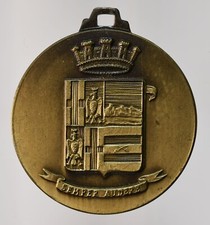 Medaglia gruppo artiglieria pesante semovente marche esercito italiano