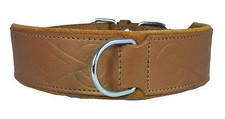 Collare cane Bulldog