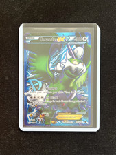 Pokemon Tornadus EX Team