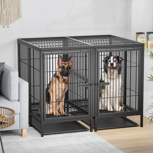 Jumbo gabbia per cani doppia - jumbo,