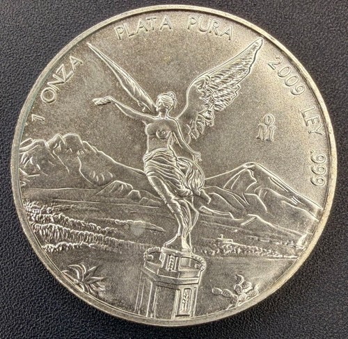 Oncia 2009 libertad - 2009,