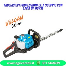 Tagliasiepi Professionale a