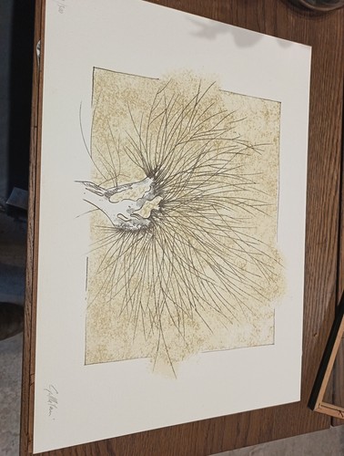 Litografia firmata numerata - firmata,