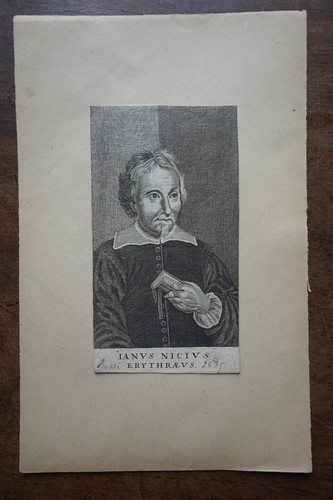 Ianus nicius erythraeus - ianus,